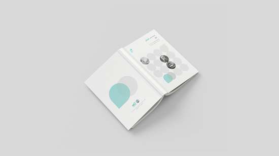 ششمین شماره فصلنامه تحلیلی داتیکان منتشر شد 