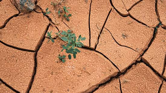 حقوق بشر و بحران جهانی آب 