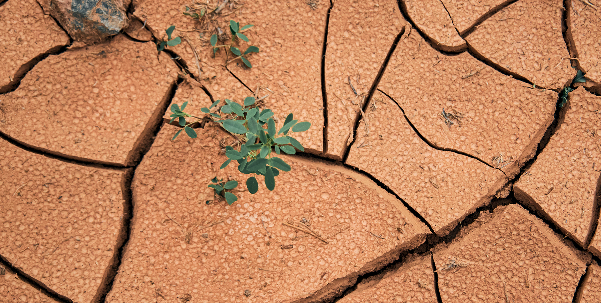 حقوق بشر و بحران جهانی آب